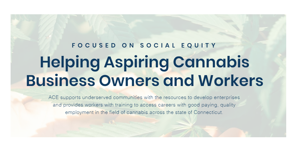 cannabis business