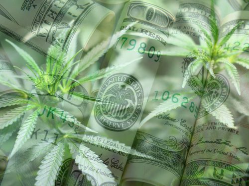 Cannabis Business Loans