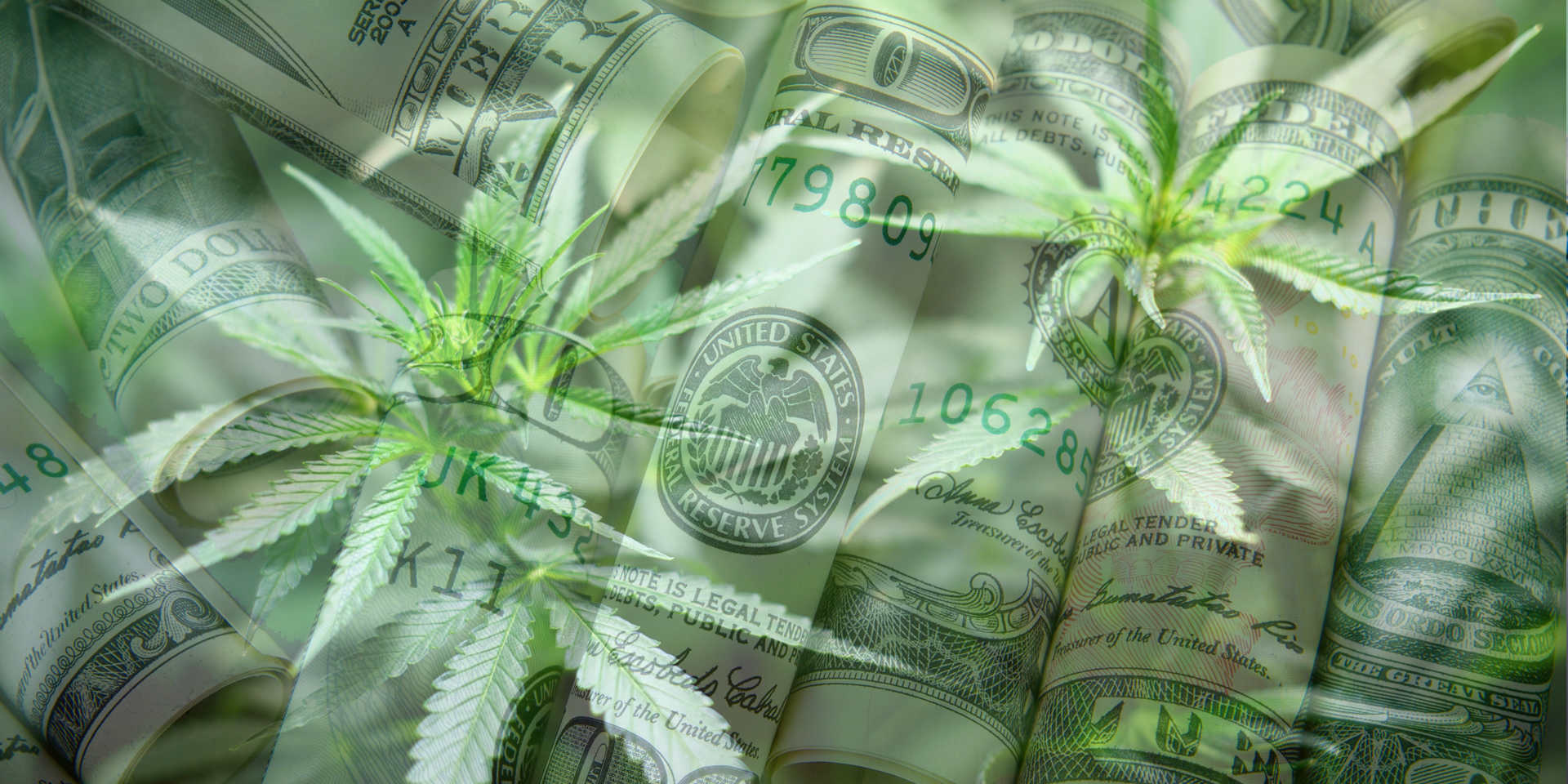 Cannabis Business Loans