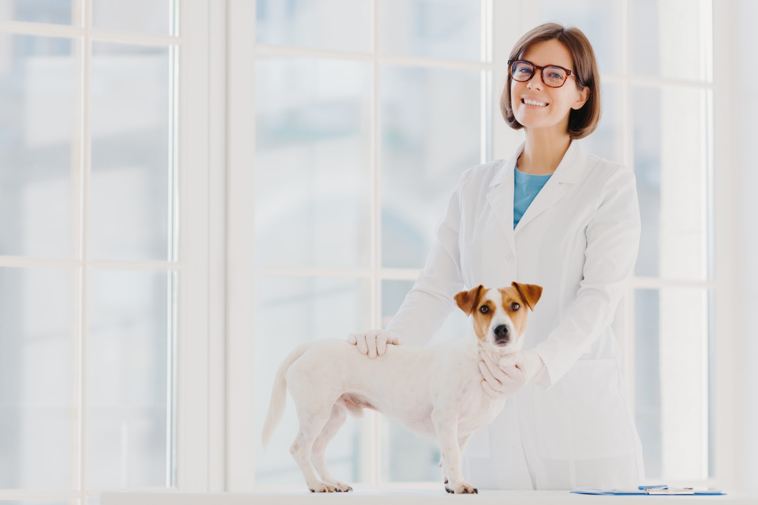 Best Veterinarian And Animal Hospital Loans